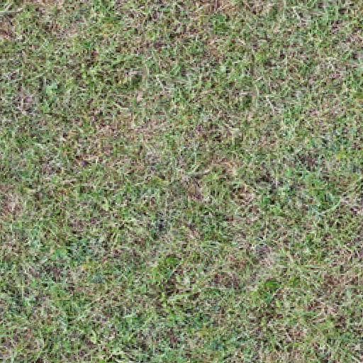 Generated image 1