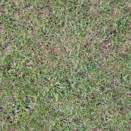 Original texture 1